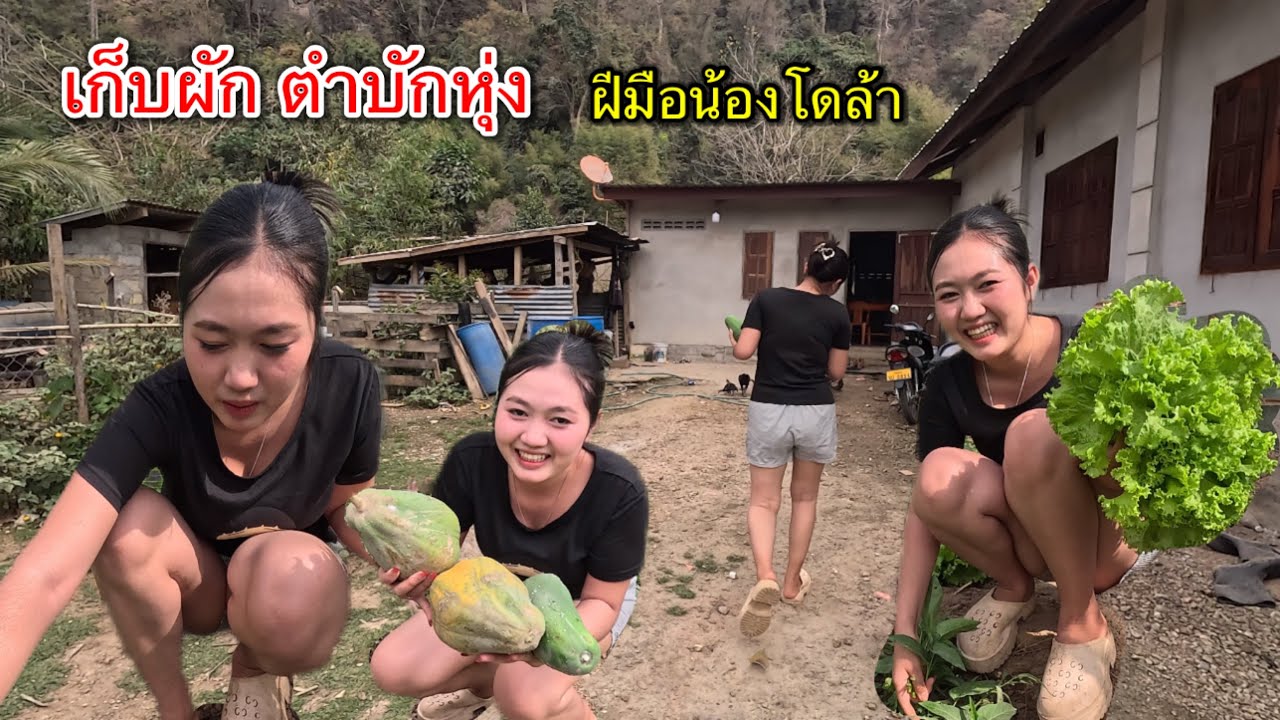 นานแล้วที่บ่าวนายไม่ได้กินฝีมือสาวลาวคนนี้ โดล้า สาวยมมะลาด