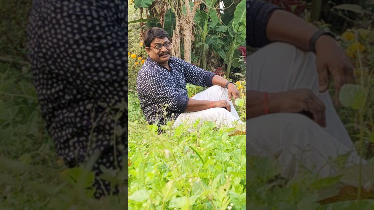 పూసిందిపూసిందిపున్నాగా #shortsfeed #youtubeshorts #meena #music #90s #seetharamayyagarimanamaralu