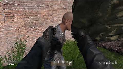 Dayz first public execution