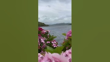 وَاذْكُرِ اسْمَ رَبِّكَ بُكْرَةً وَأَصِيلًا (25) سورة الإنسان