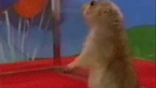 Full Dramatic Chipmunk While I play Unfitting Music News
