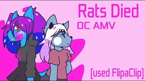 Rats died || OC Animation [FlipaClip]