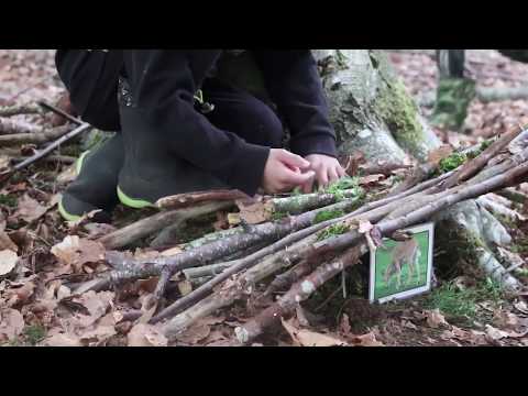 Outdoor Ed Science lesson