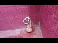 My Washroom Setting &amp; Beautiful View | Daily Life Vlog | Simple Home Lifestyle | Ruksana