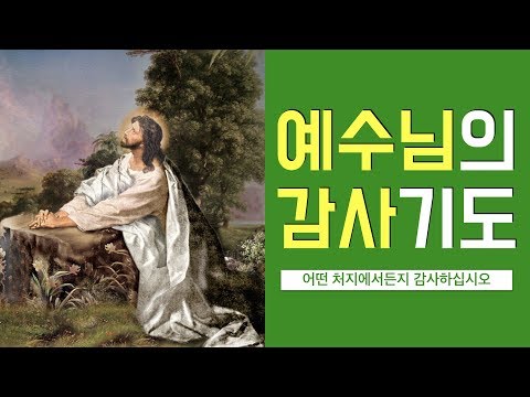영상썸네일