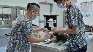 Basic Guidelines for Anesthesia Machine Usage