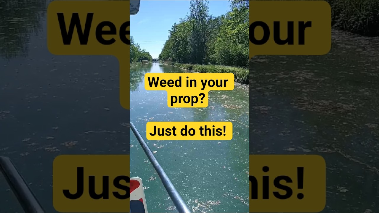 ⁣Weed in your prop? Just do this! #sailing #sailingtips #boating