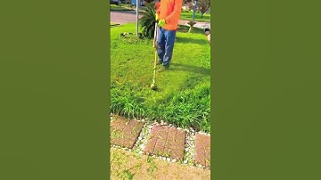 lawn edging process part 12 | how to edge along fences & borders