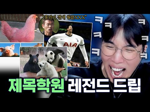 드립이 난무하는 제목짓기 모음ㅋㅋㅋㅋ(손흥민 월드클래스 인정!)
