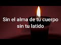 Sin tu latido -  Luis Eduardo Aute (version concierto, Silvio Rodriguez )(Letra)