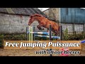 Free jumping puissance | Stuart Eventing