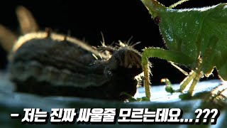 역대 최악의 미스매치가 탄생한 괴곤전 2기 최악의 경기 Top10