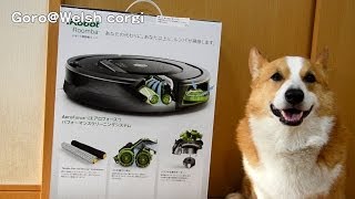 Roomba 870 unboxing / ルンバ870が来ました 20140516 Goro@Welsh corgi ロボット掃除機