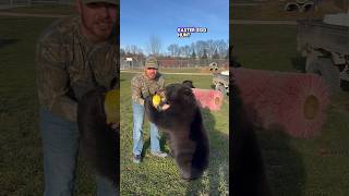 Bear Easter Egg Hunt! #animalsofyoutube #funnyanimals #easter Profile