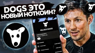 DOGS - Новый NOTCOIN?! от 200$ за 1 КЛИК! + CATS | Лучше чем Blum и Hamster! screenshot 4