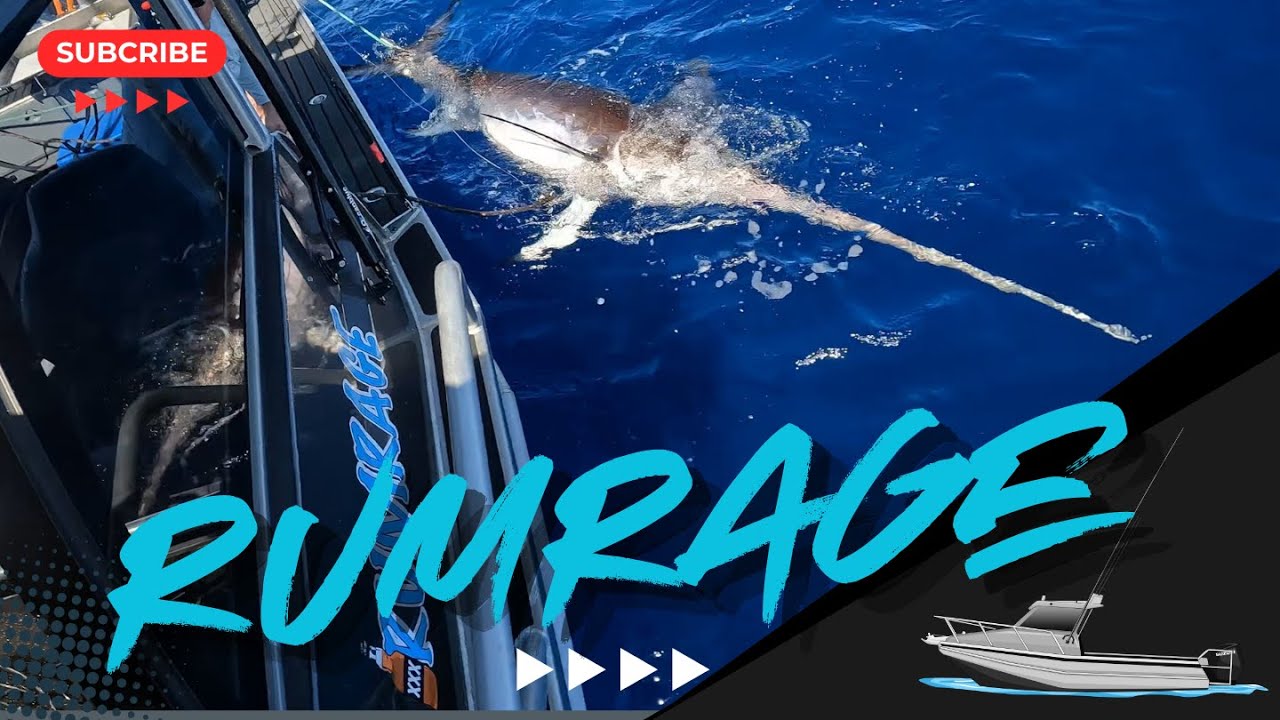 342lbs Swordfish .2023 Sword season (Day 1) , on RumRage RH650