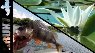 3 РЫБАЛКИ в одном видео!!! Итоги КОНКУРСА. 3 РЫБАЛКИ в одном видео!!! Итоги КОНКУРСА.