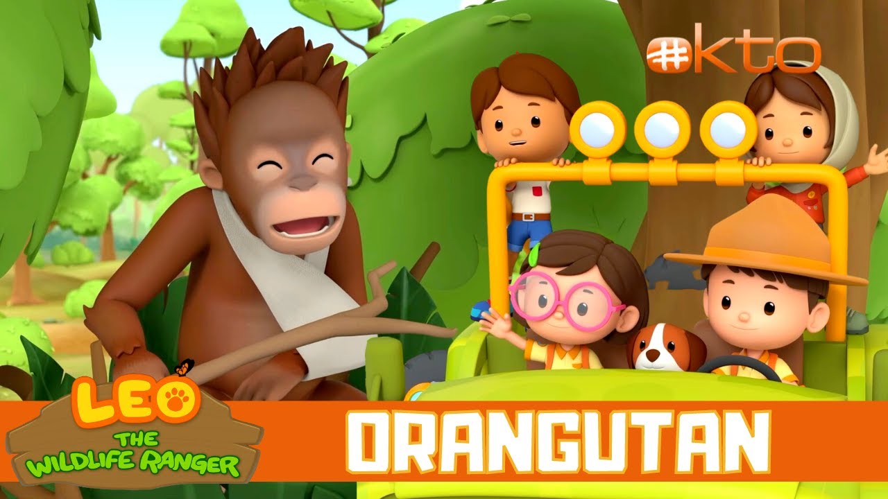 Baby ORANGUTAN is hurt during the storm! | Leo the Wildlife Ranger
