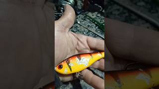 #dourado #seinscreva #ataque #like #pesca #iscasartificiais #lunatica