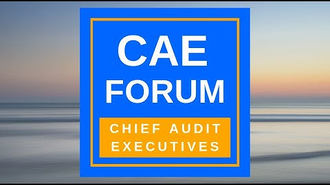 CAE Forum - Elevating the Status of Internal Audit and Moving into Executive Presence