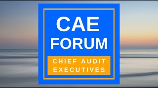 Cae forum - elevating the status of internal audit and moving into
executive presence