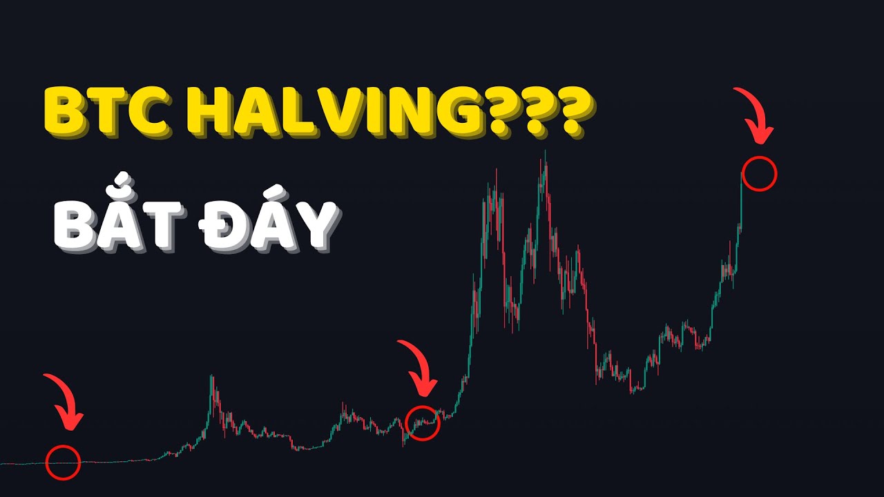 2 VÙNG MUA TỐT ĐỂ BẮT ĐÁY CÁC ĐỒNG COIN (Sự Kiện BITCOIN HALVING)