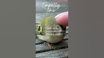 Overcoming Empathy Barriers #shorts