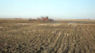 Case IH 535 4wd Quadtrac tractor seeding