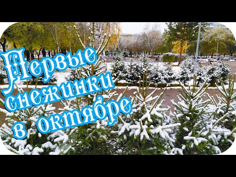 Какое это наслажденье...❤️Первые снежинки в октябре ❤️Теплой и снежной зимы желаю!❤️