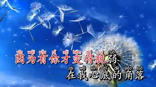 Karaoke Không Biết Phải Làm Sao | 不知所措 - Vương Tĩnh Văn Không Mập 王靖雯不胖