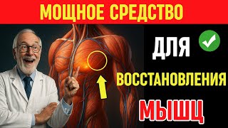 Быстрое восстановление мышц: этот продукт содержит больше белка, чем яйца! Пожилые люди