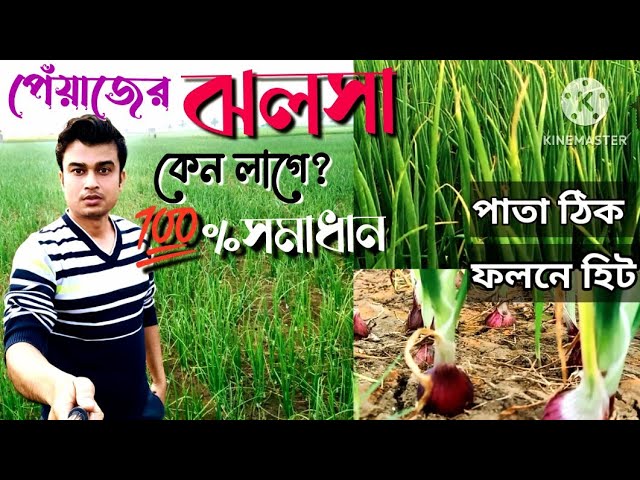 Yalangoch qizlarning bolinish suratlari Porno biseksual Marianna Kordoba