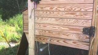 Chicken Coop Update 1 Year YouTube