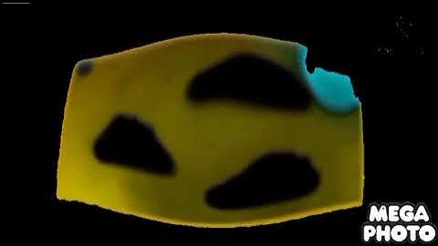 Alphablocks Letter Fun Part 23 With W In G Major 87 (MOST VIEWED VIDEO)