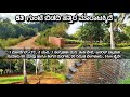 53 GUNTE COCONUT AND MANGO TREES FARM LAND SALE IN RAMANAGARA,NEAR BENGALURU, CHARAN 7338474634.