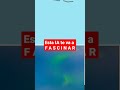 Cuéntame qué opinas de esta tecnología en los comentarios