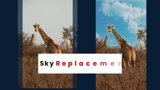 PhotoVibrance Sky Replacements Tutorial - Photo Animation
