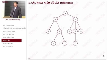 Khái niệm về cây - Cấu Trúc Dữ Liệu Và Giải Thuật (ThS Thạc Bình Cường) #31 | E-Learning