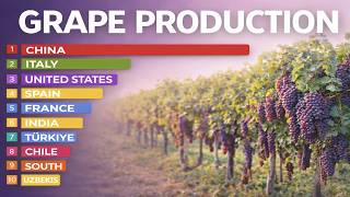 THE LARGEST GRAPE PRODUCERS IN THE WORLD | Italy VS France VS China  @AllWorldStats