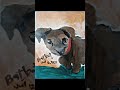 🐶Flexing my Pet Portraits 🐶