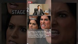 Fact Check: Images Of Kristen Welker's 'Five Stages Of Trump Derangement Syndrome' Are FAKE