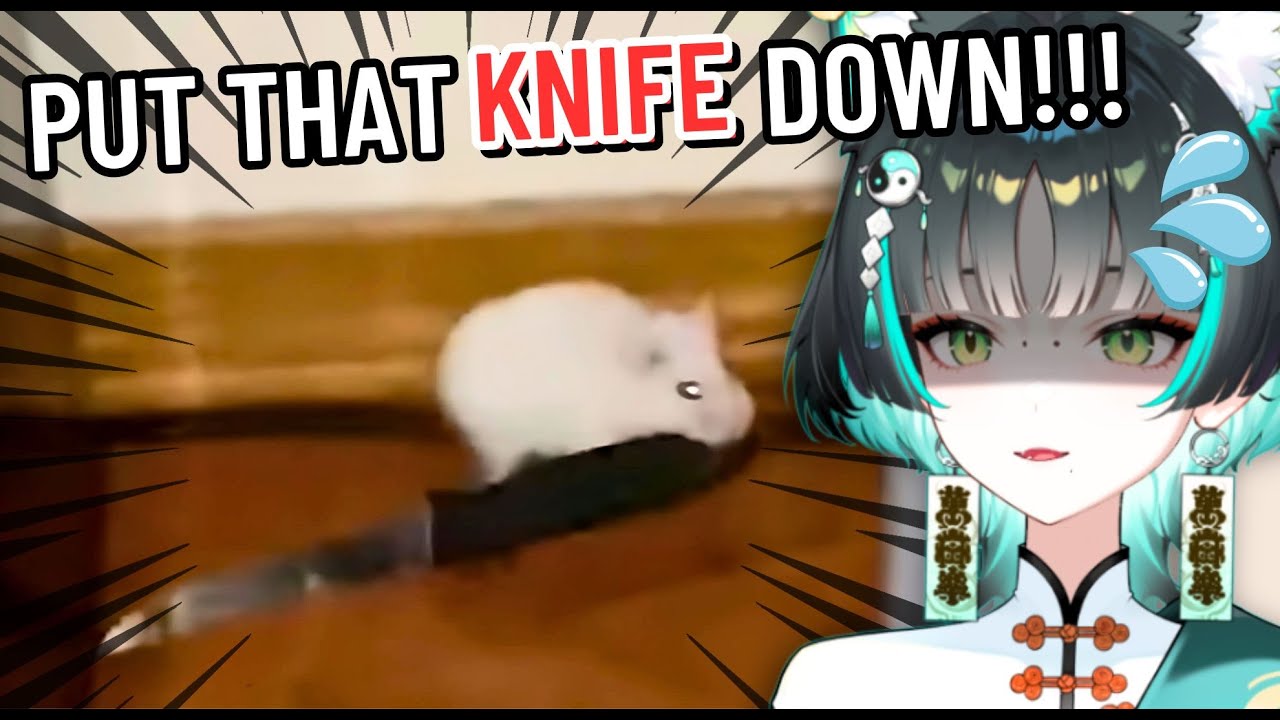 When You Hid The Last Cheese | Vtuber reacts to Funniest Animal Videos Ever