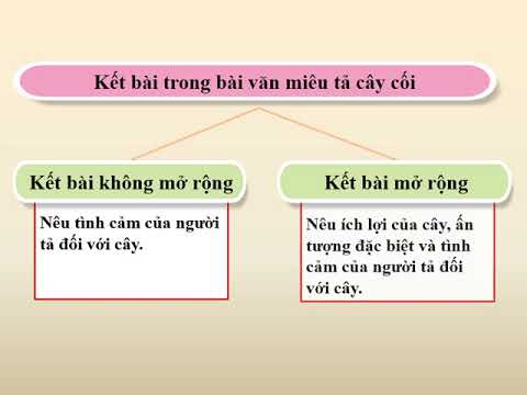 Khối 4 Tuần 26 TLV Luyện tập xây dựng kết bài trong bài văn miêu tả cây cối