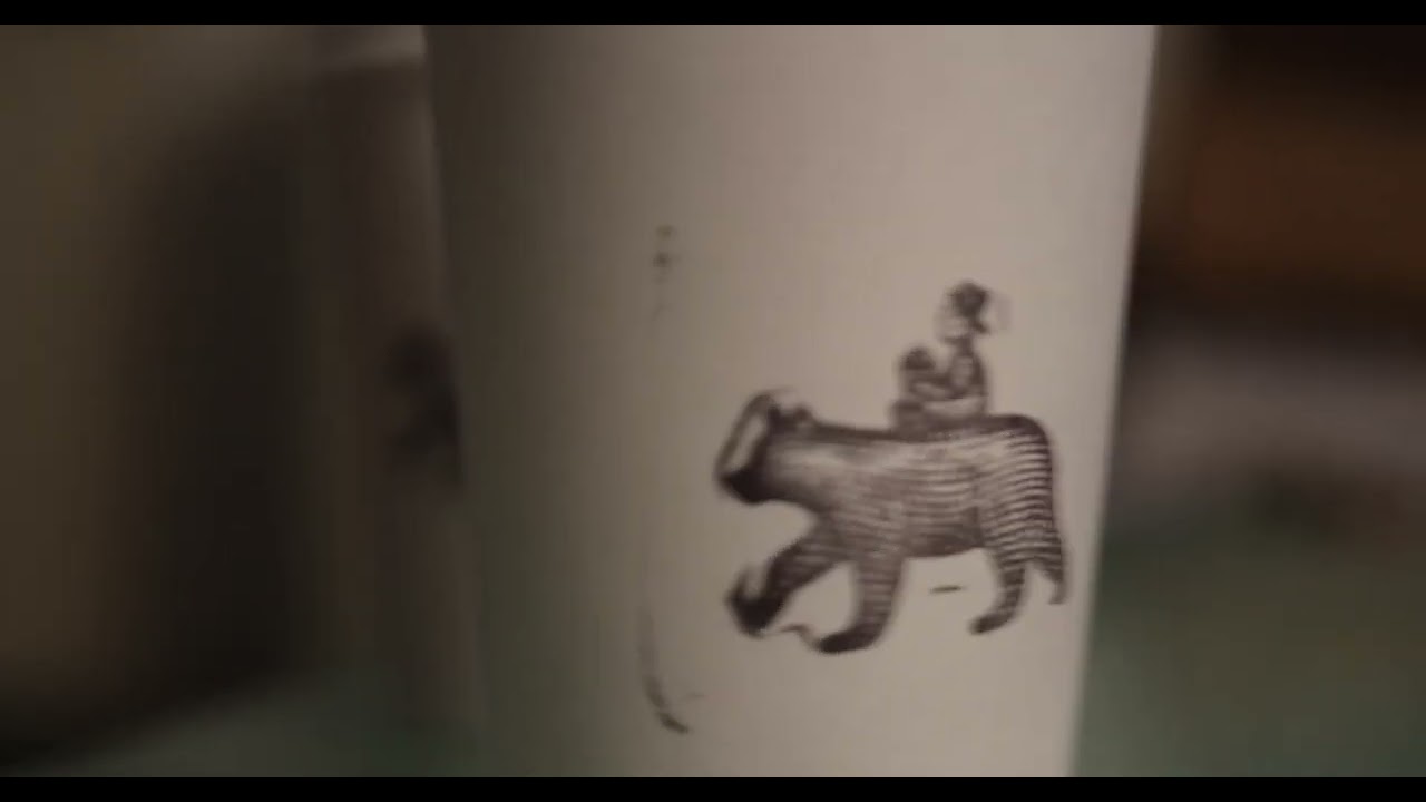 Hand held manual focus pull