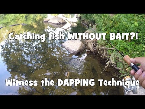 Catching Fish WITHOUT BAIT (Hook ONLY)! Witness the DAPPING! (Give-Away Included) (Wilmington, DE)