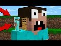 PRO BUILD HOUSE in the HEAD of a NOOB! in Minecraft Noob vs Pro