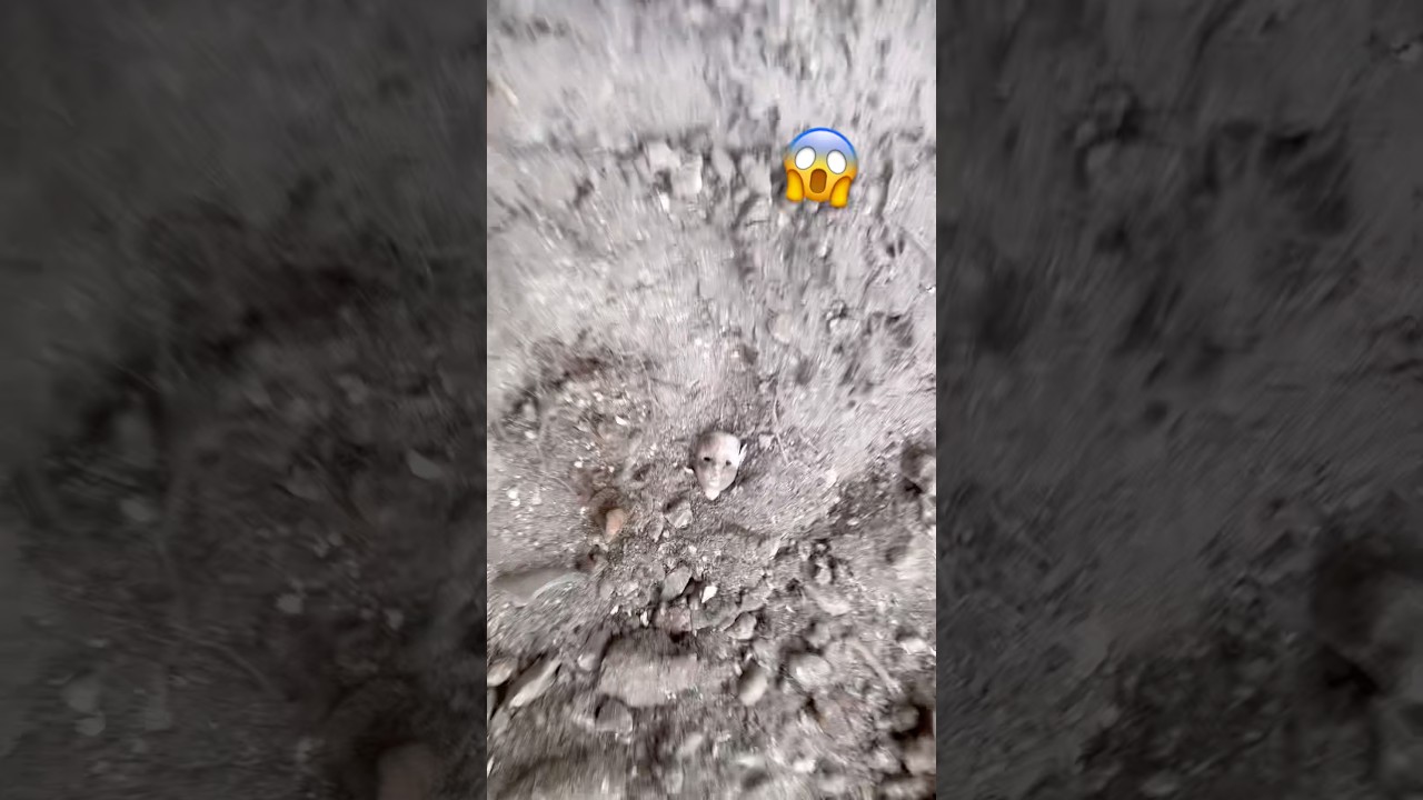 Это вас пугает?