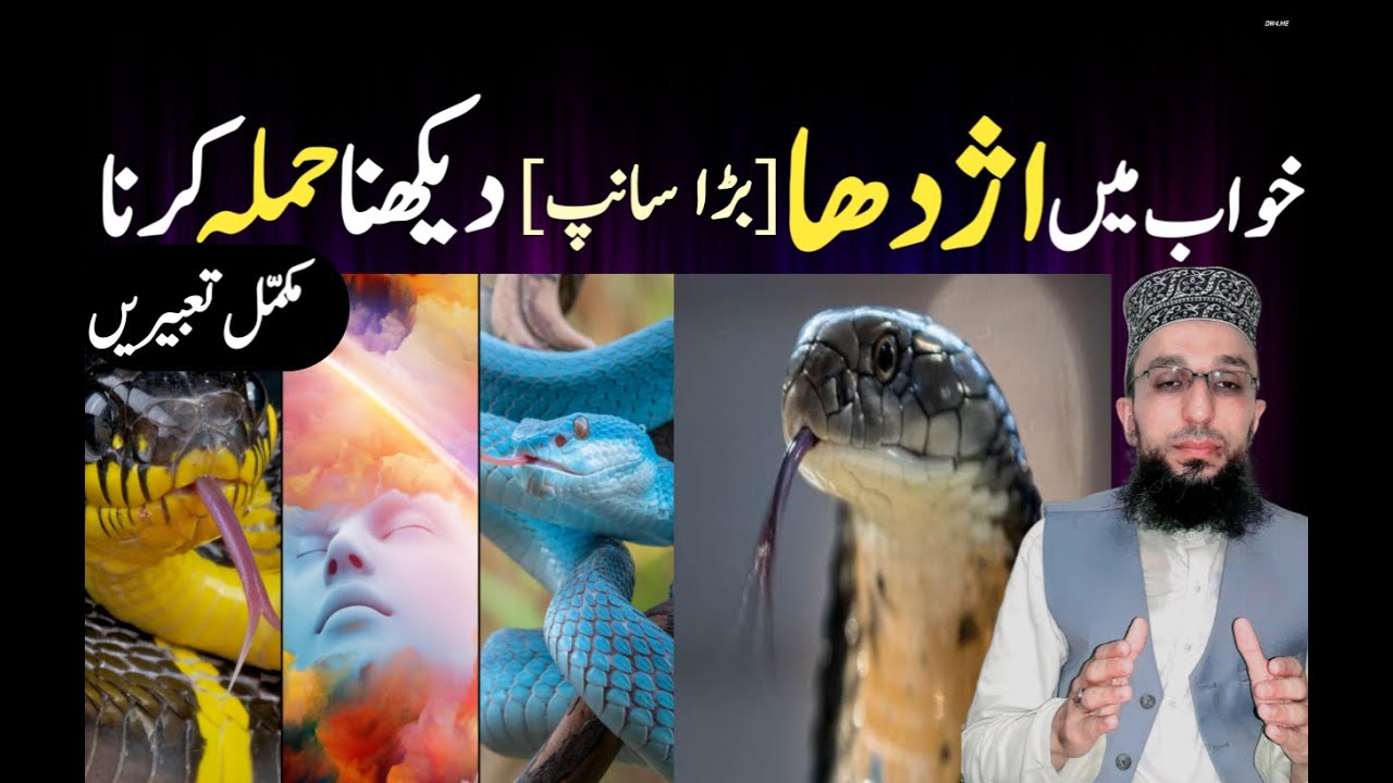 Khwab Mein Saanp Dekhna | Khwab Mein Azdaha Dekhne Ki Tabeer | Snake ...