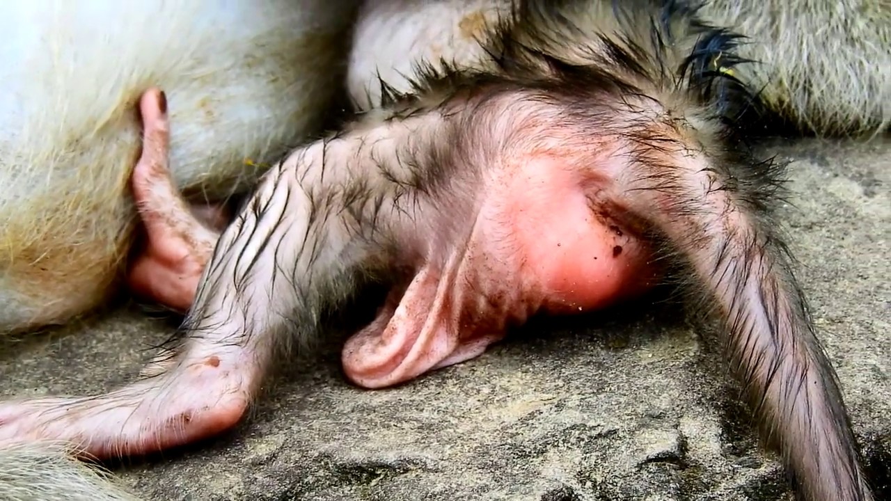 foundry Newborn Itchiness on the his back/ Newborn always moves to stop Itchiness