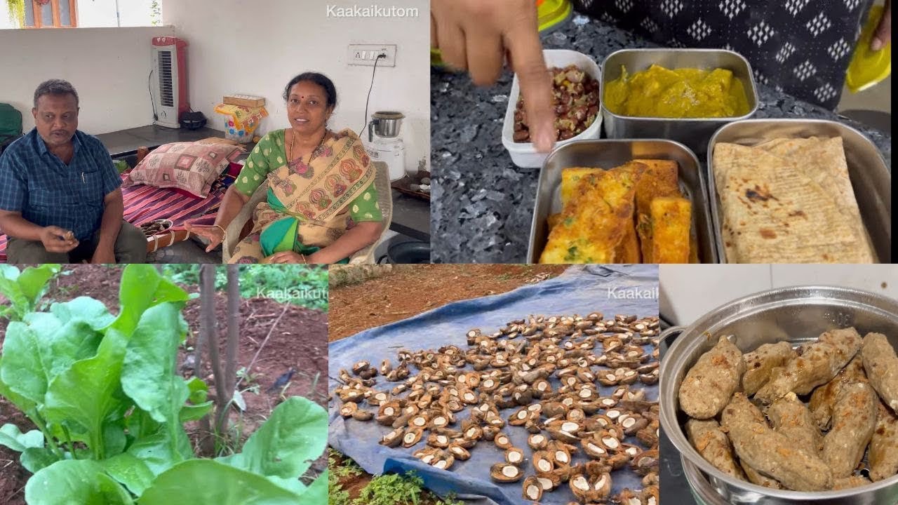 Super lunch 🥗 பாலக் பன்னீர்🍀!!& சிக்கன் சால்னா!!🍗